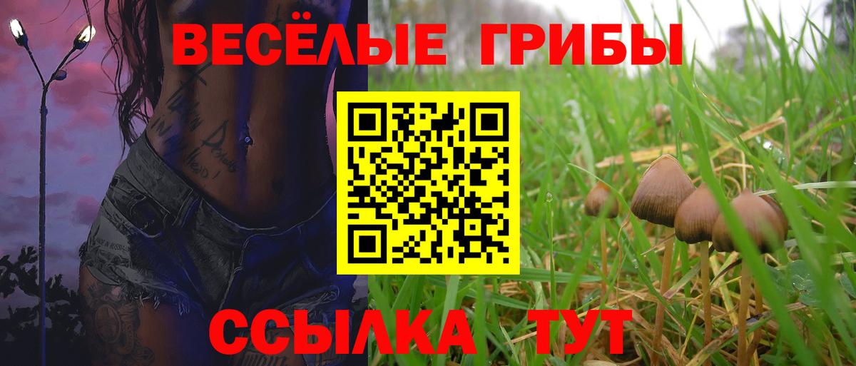 Павловский Посад  Псилоцибиновые грибы Psilocybine cubensis  Вход с VPN 